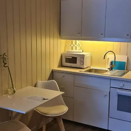 Leilighet Med 4 Soveplasser Gratis Parkering Og Wifi Sentrum *
